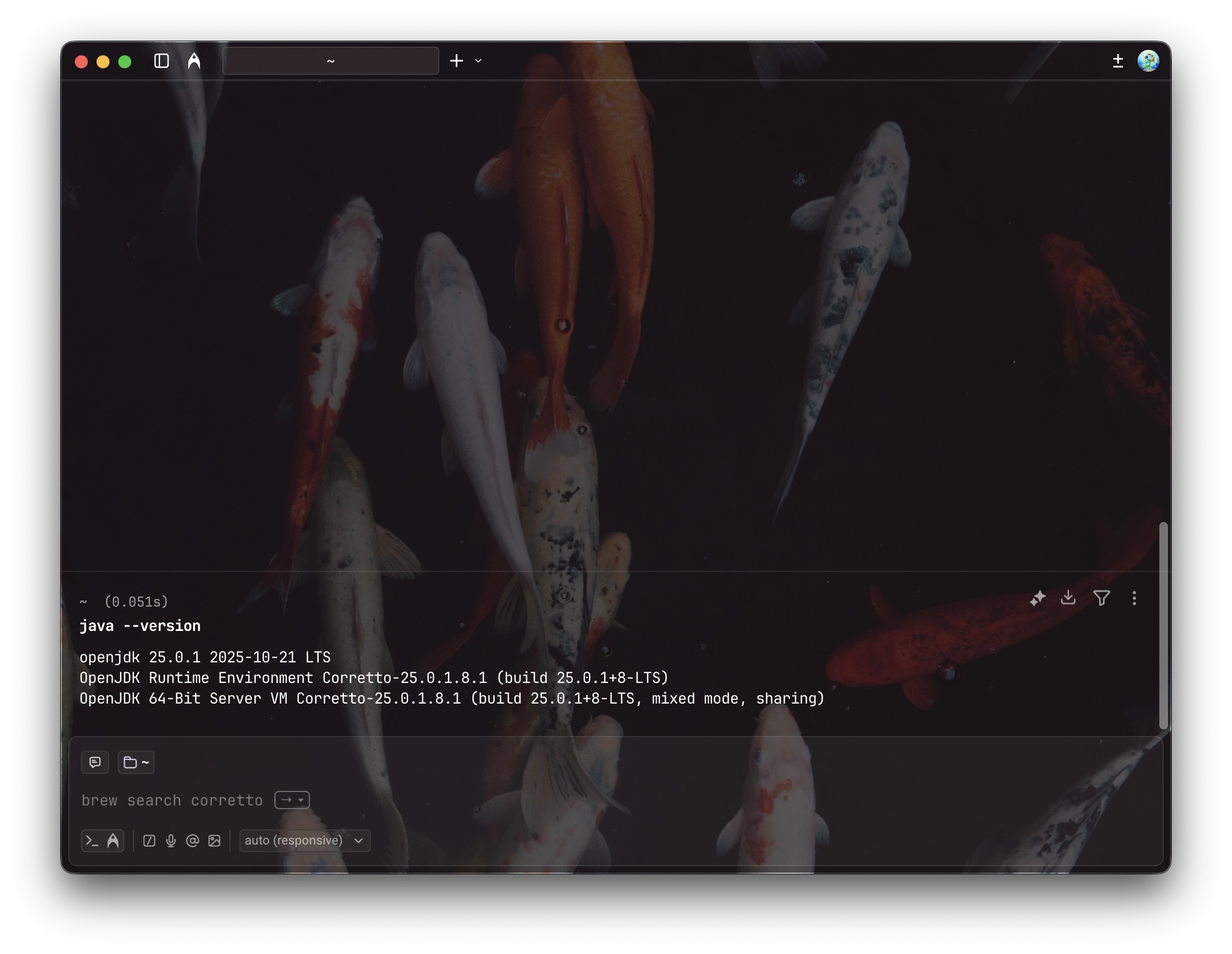 Checking for Java version