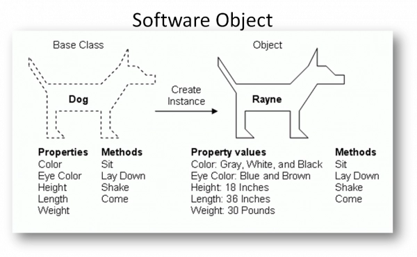 Some Funny Reference