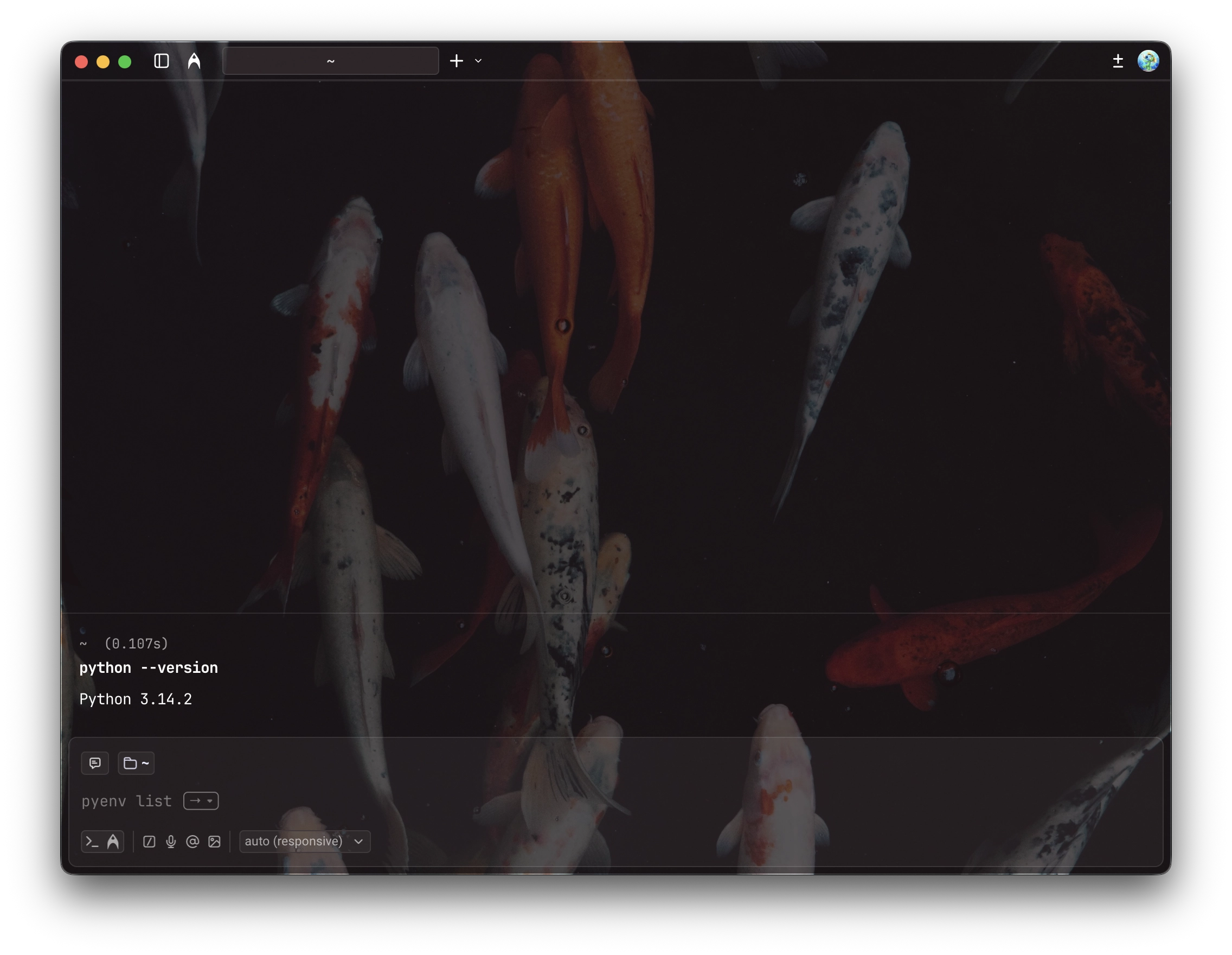 Checking Python version in the Terminal